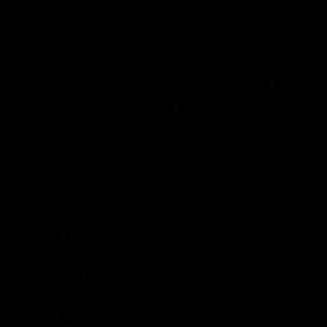 Meet your Posher, Evan